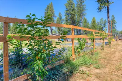 12980 Mohawk Way, Oroville, CA 95965 - Photo 31
