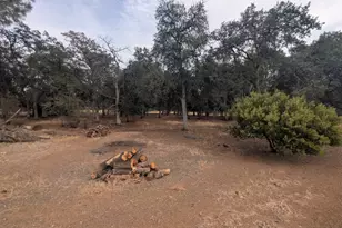 1962 Fouts Springs Rd, Stonyford, CA 95979 - Photo 55