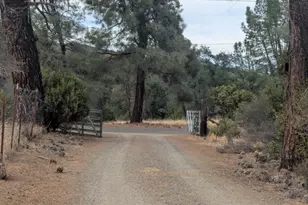 1962 Fouts Springs Rd, Stonyford, CA 95979 - Photo 3