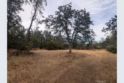 1962 Fouts Springs Road, Stonyford, CA 95979 - Photo 57