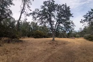 1962 Fouts Springs Rd, Stonyford, CA 95979 - Photo 57