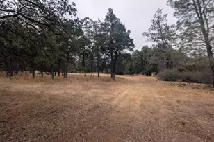 1962 Fouts Springs Rd, Stonyford, CA 95979 - Photo 59