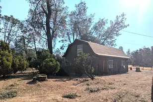 1962 Fouts Springs Rd, Stonyford, CA 95979 - Photo 39