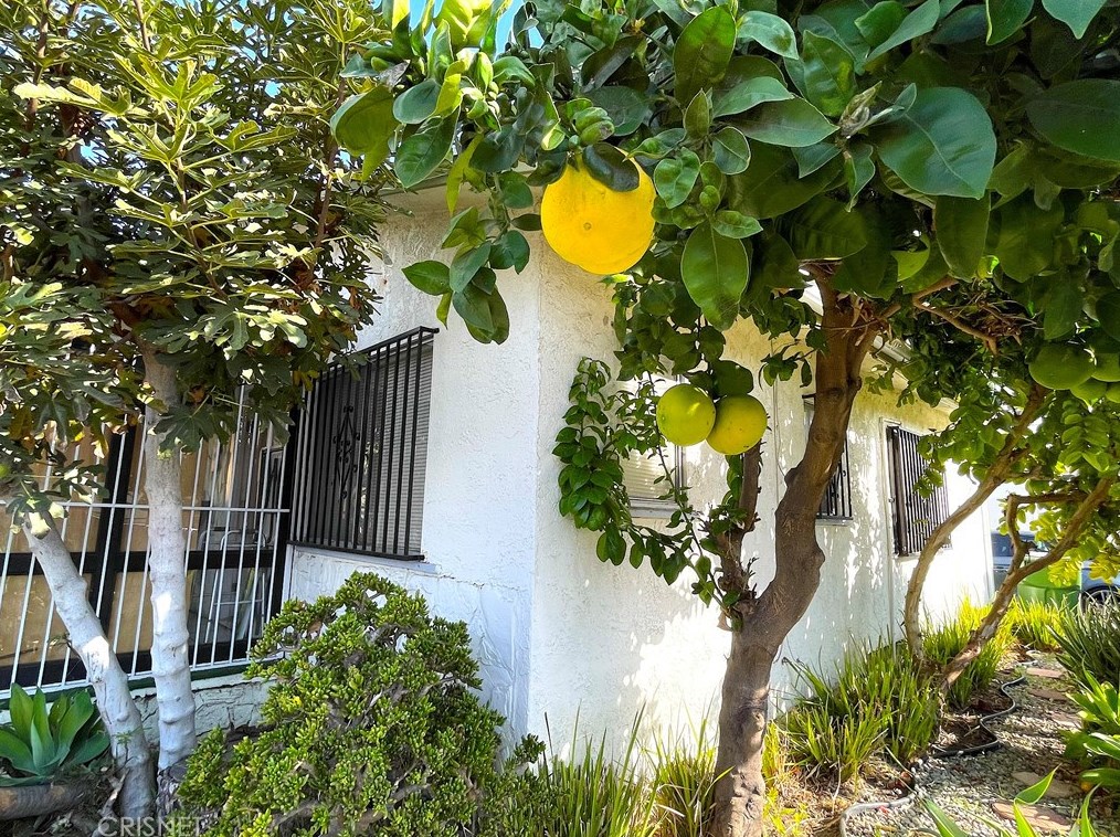 8644 Denver Ave, Los Angeles CA  90044-5714 exterior