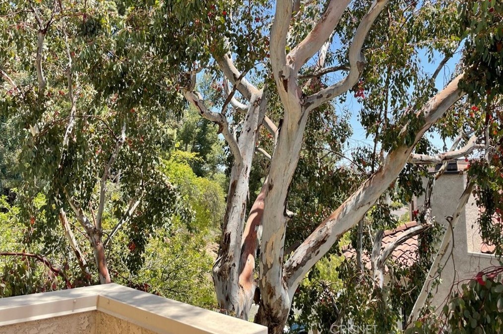 161 Mcafee Ct, Thousand Oaks CA 91360-2670 exterior