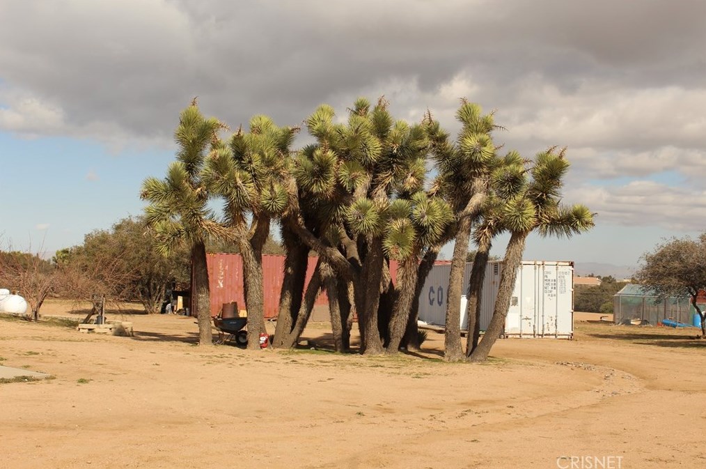 11150 Stuveling St, Hesperia CA  92344-0008 exterior