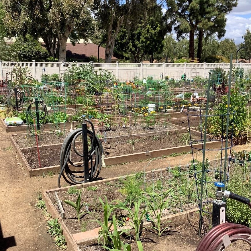 17222 Village 17, Camarillo CA  93012-7404 exterior