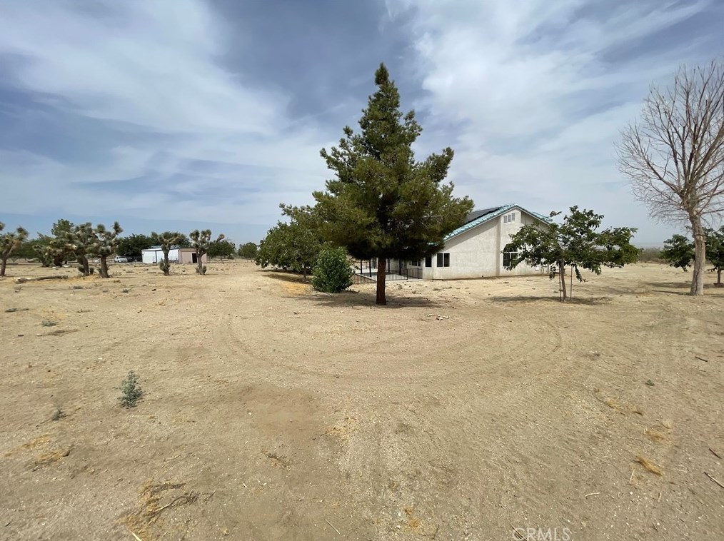 11124 Pine Tree Rd, Pinon Hills CA  92372 exterior