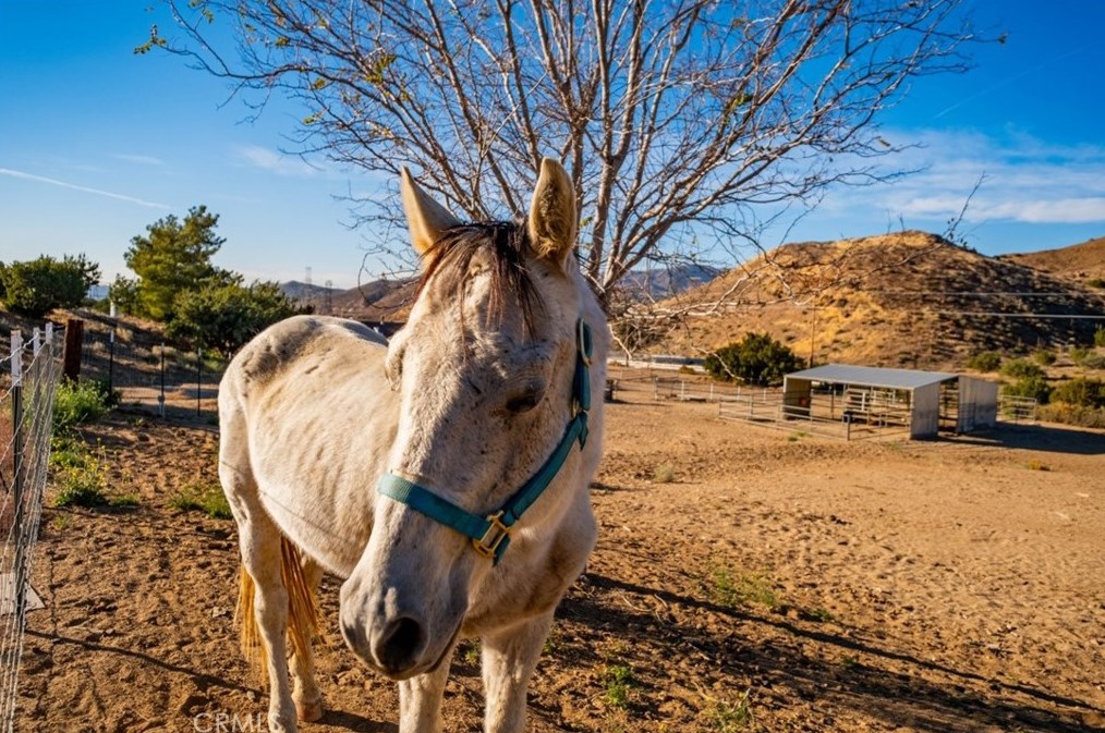 440 Soledad Pass Rd, Palmdale CA  93550-9789 exterior