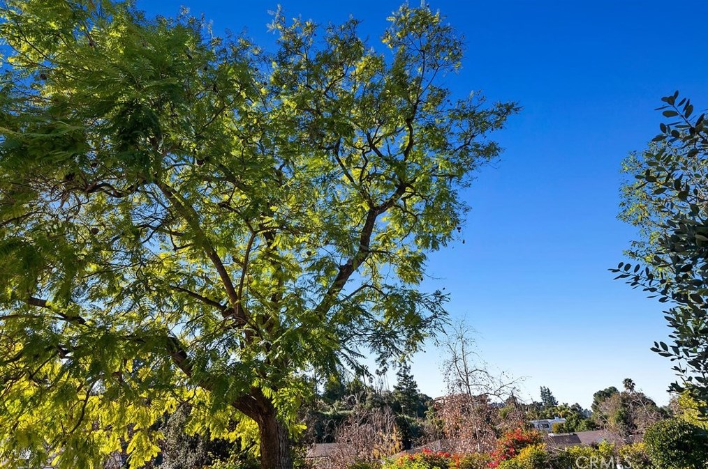 4080 Hayvenhurst Dr, Van Nuys CA  91436-3645 exterior