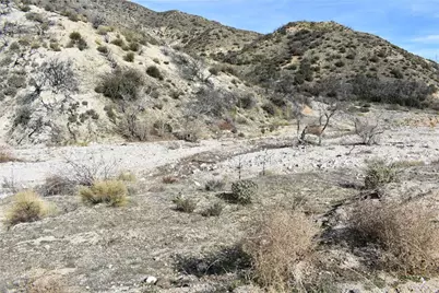 20811 Pine Canyon Road, Lake Hughes, CA 93532 - Photo 7