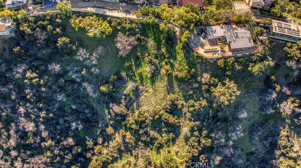 8600 Skyline Dr, Los Angeles CA  90046-1420 exterior