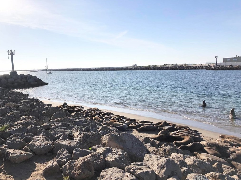 320 Rossmore Dr, Oxnard CA  93035-4465 exterior