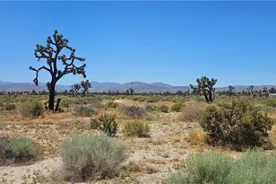 0 E Palmdale Blvd, Palmdale, CA 93550 - Photo 1