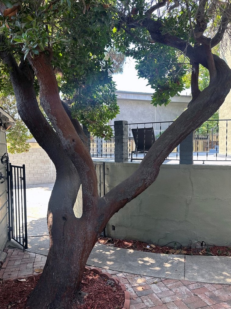 1436 Spaulding Ave, Los Angeles CA  90019-2417 exterior
