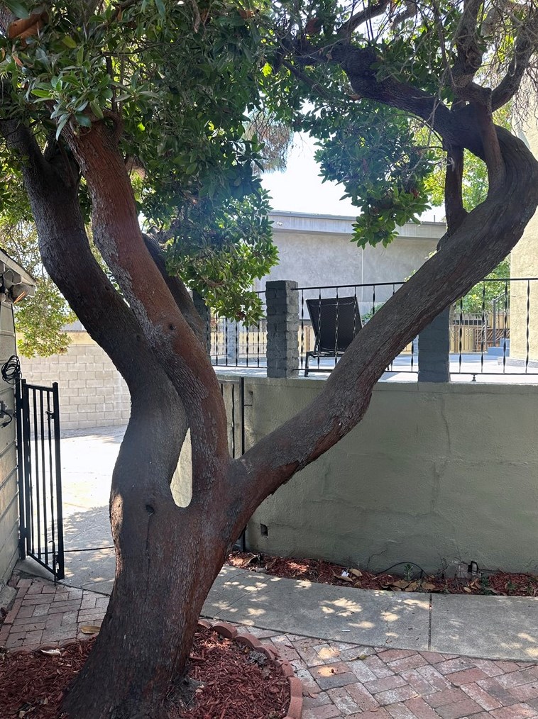 1436 Spaulding Ave, Los Angeles CA  90019-2417 exterior