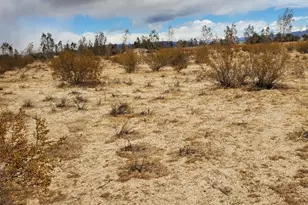 0 Black Mountain Blvd, Inyokern, CA 93527 - Photo 13