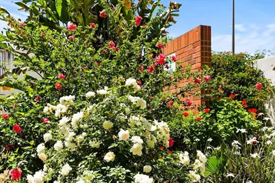 18620 Hatteras Street #223, Tarzana, CA 91356 - Photo 33