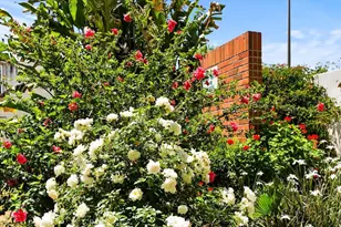 18620 Hatteras St, Tarzana, CA 91356 - Photo 33