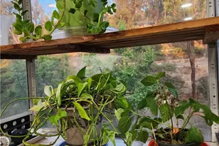 20334 Rue Crevier, Canyon Country, CA 91351 - Photo 7