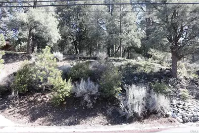 2216 Woodland Drive, Pine Mountain Club, CA 93225 - Photo 1