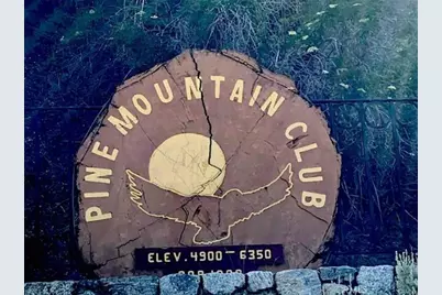 2216 Woodland Drive, Pine Mountain Club, CA 93225 - Photo 3