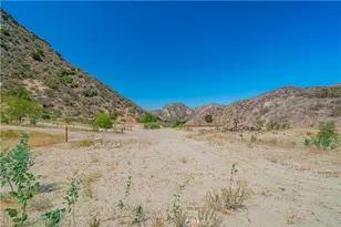 29701 Jackson St, Castaic, CA 91384 - Photo 63