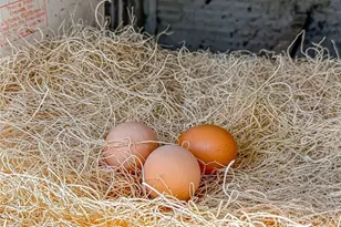 2775 Edgeview Ct, Newbury Park, CA 91320 - Photo 71