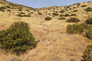 0 Valleysage Rd, Agua Dulce, CA 91350 - Photo 1