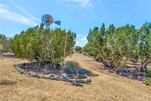 11720 Honeybee Ln, Juniper Hills, CA 93543 - Photo 71