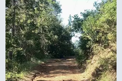 30 White Fir Lane, Oroville, CA 95966 - Photo 3