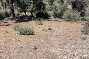 2426 Cedarwood, Pine Mountain Club, CA 93222 - Photo 1