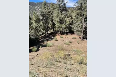 2426 Cedarwood, Pine Mountain Club, CA 93222 - Photo 15
