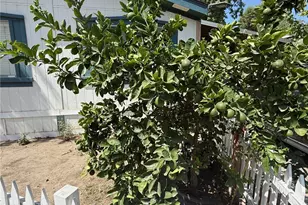 16274 Vasquez Canyon Rd, Canyon Country, CA 91351 - Photo 5