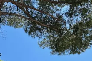 22628 Quinta Rd, Woodland Hills, CA 91364 - Photo 57