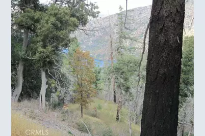 0 Burnt Mill Canyon Road, Cedarpines Park, CA 92322 - Photo 11