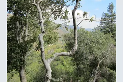 0 Burnt Mill Canyon Road, Cedarpines Park, CA 92322 - Photo 5