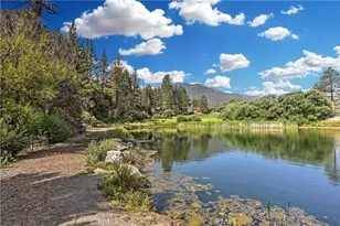 15420 Live Oak Way, Pine Mountain Club, CA 93222 - Photo 73