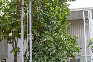 8811 Canoga Ave, Canoga Park, CA 91304 - Photo 31