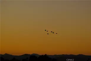 4801 Nomad, Woodland Hills, CA 91364 - Photo 75