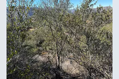 25858 Mulholland, Calabasas, CA 91302 - Photo 23