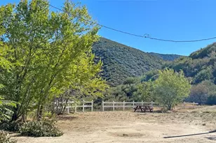 43155 Lake Hughes, Lake Hughes, CA 93532 - Photo 3