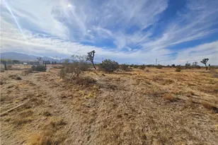 0 263rd Rd, Pinon Hills, CA 92372 - Photo 1