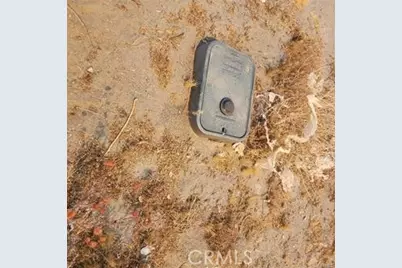 1590 Saratoga Road, Pinon Hills, CA 92372 - Photo 3