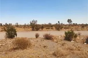 1590 Saratoga Rd, Pinon Hills, CA 92372 - Photo 1