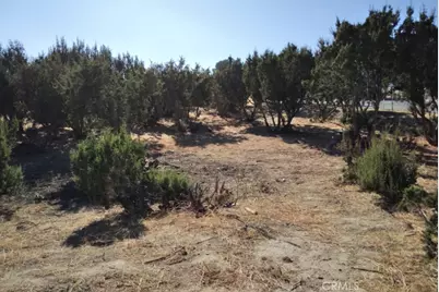 0 Agua Dulce Canyon, Agua Dulce, CA 91350 - Photo 3