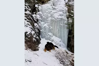 1916 Rustic Way, Pine Mountain Club, CA 93222 - Photo 37