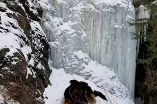 1916 Rustic Way, Pine Mountain Club, CA 93222 - Photo 37