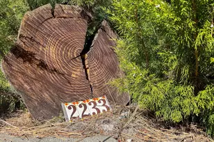 2233 Bernina, Pine Mountain Club, CA 93222 - Photo 3