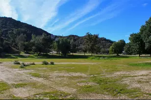 30344 Bouquet Canyon, Santa Clarita, CA 91390 - Photo 15